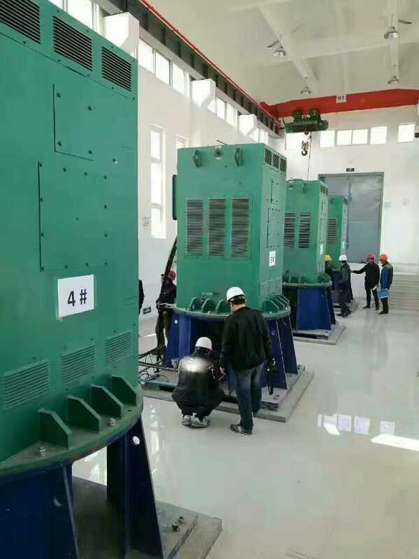 西乌珠穆沁某污水处理厂使用我厂的立式高压电机安装现场
